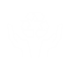eco_icon_02.png